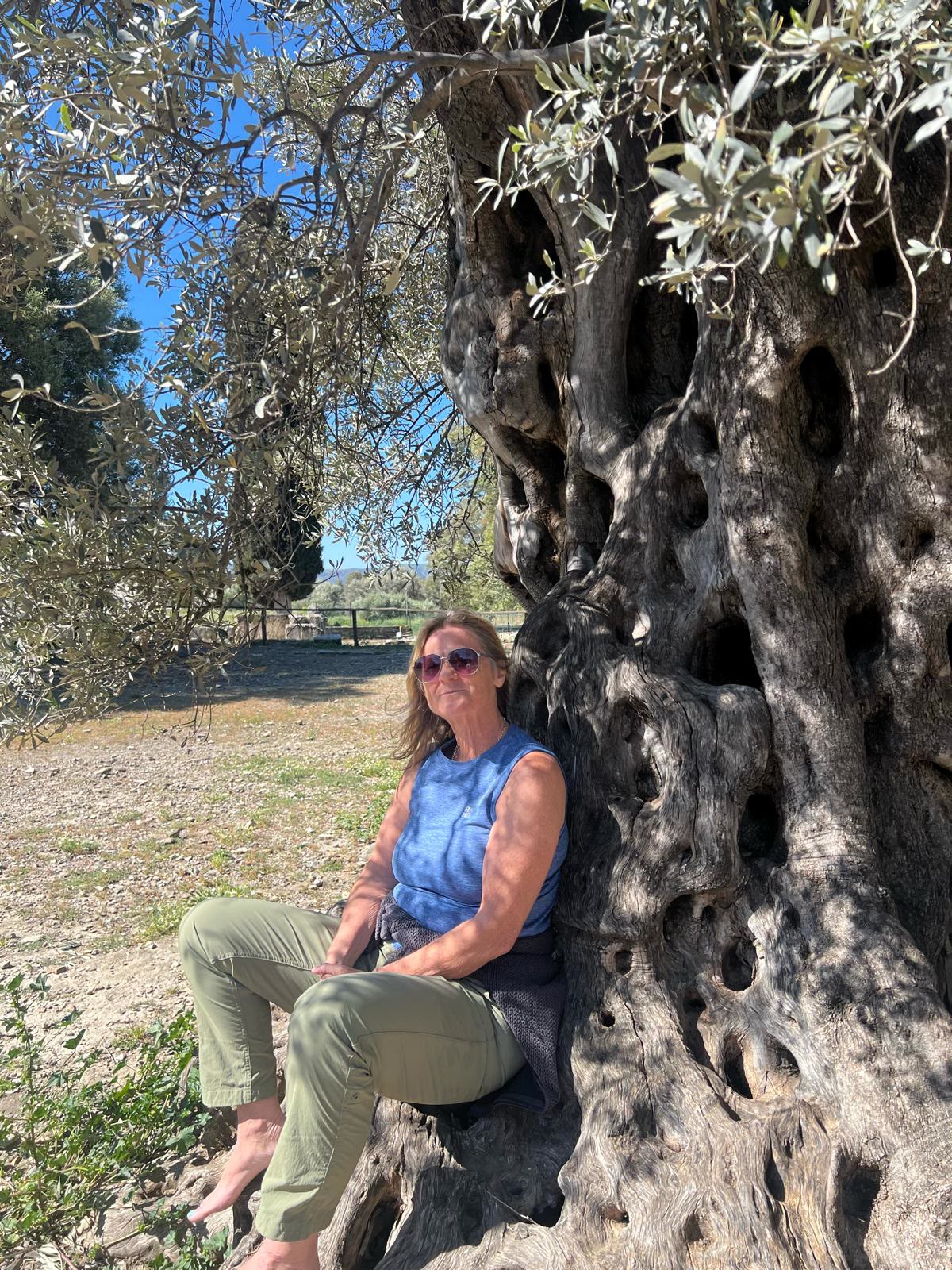 Megan Sillito sits against the trunk of an ancient olive tree on Crete.